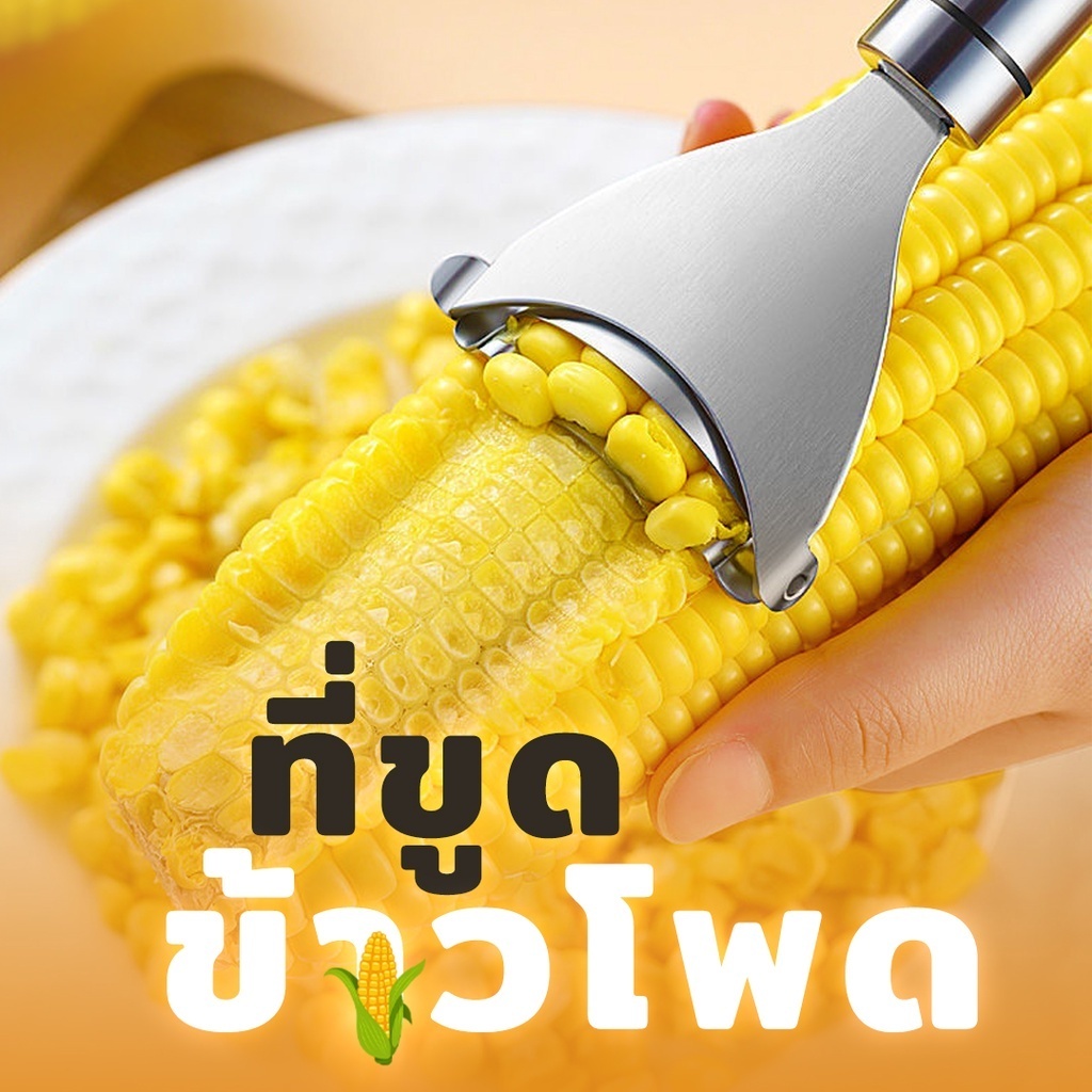 ที่ปอกข้าวโพด ที่ขูดข้าวโพด ที่แกะเมล็ดข้าวโพด ที่ปอกสับปะรด สแตนเลสแท้ ไม่เป็นสนิม Corn Seed Peeler ราคา ถูกที่สุด ดีลบีเคเค แกลเลอรีภาพที่ 2