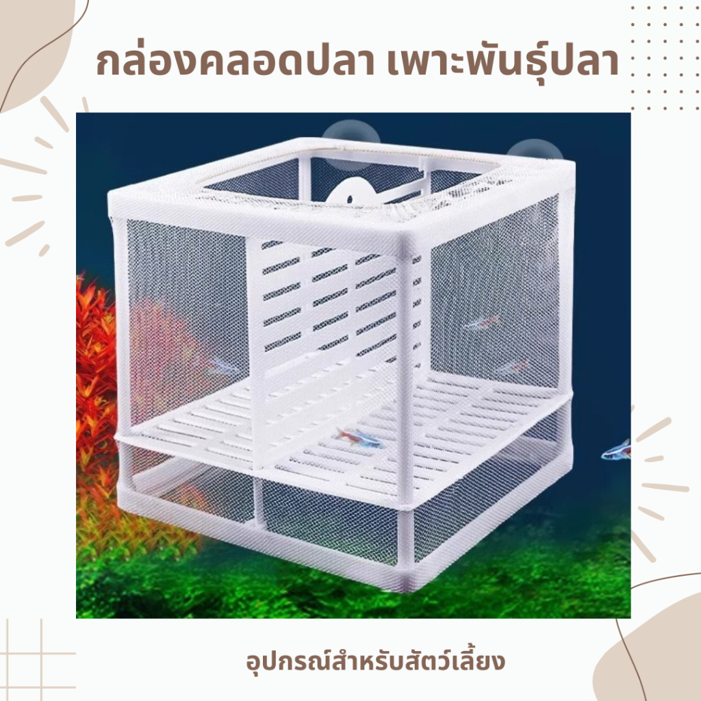 ตาข่ายเเยกปลา เพาะพันธุ์ปลา เเยกปลาป่วย สัตว์น้ำขนาดเล็ก