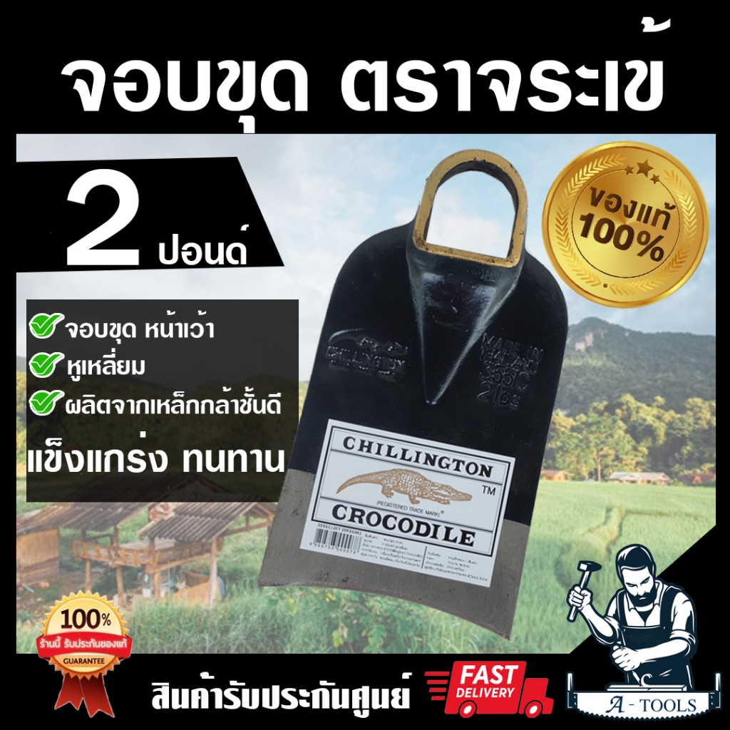 จอบจระเข้ 2ปอนด์ 3ปอนด์ หน้าตรง หน้าโค้ง หูเหลี่ยม รูปที่ 3