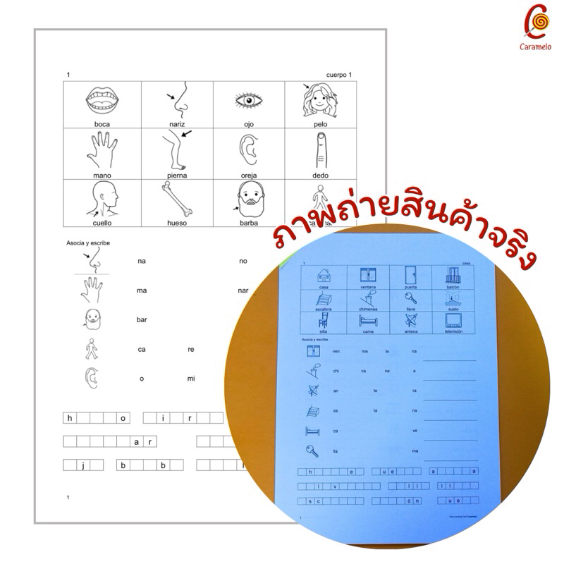 ใบงานวิชาภาษาสเปน คำศัพท์พื้นฐาน Vocabulario basico เย็บมุม ไม่เข้าเล่ม