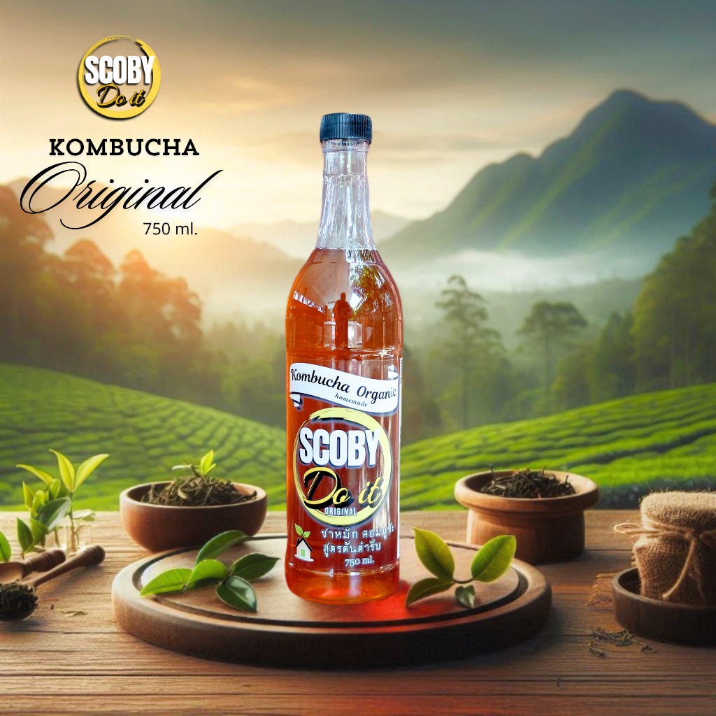 KOMBUCHA เครื่องดื่ม โพรไบโอติกส์ ชาหมักคอมบูชะ ขนาด 750 ml. - Raw fermented homemade