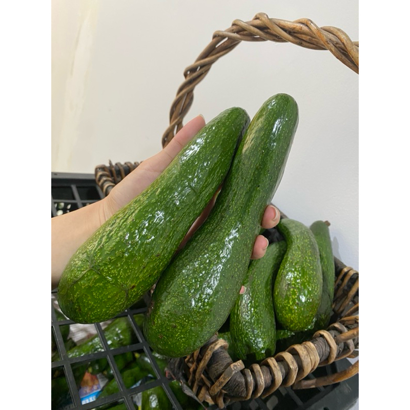 พร้อมส่ง !! อะโวคาโด 034 🥑 ราคาถูกที่สุด !!