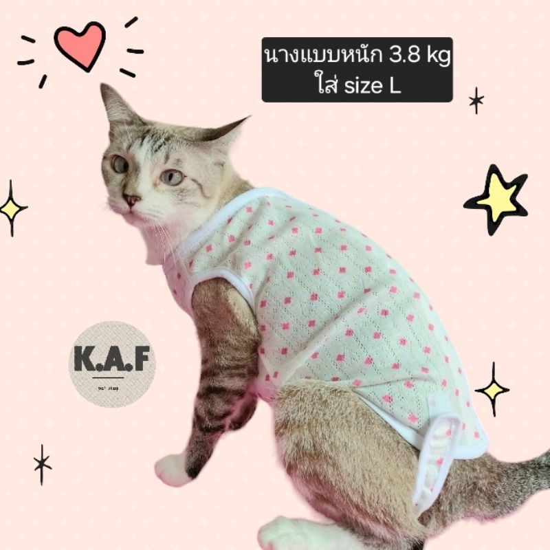 รูปภาพ 4