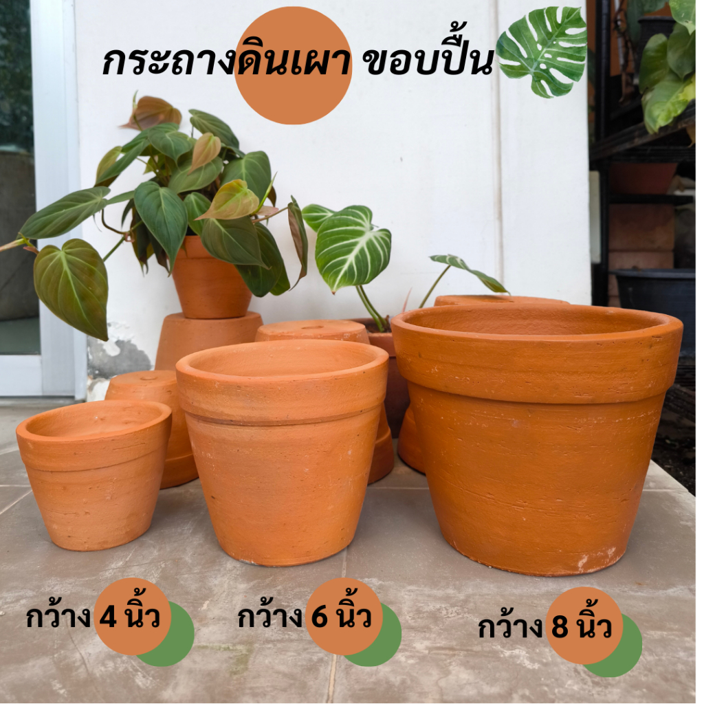 กระถางต้นไม้ กระถางดินเผา ทรงขอบปื้น 4" 6" 8" กระถางทรงมินิมอล