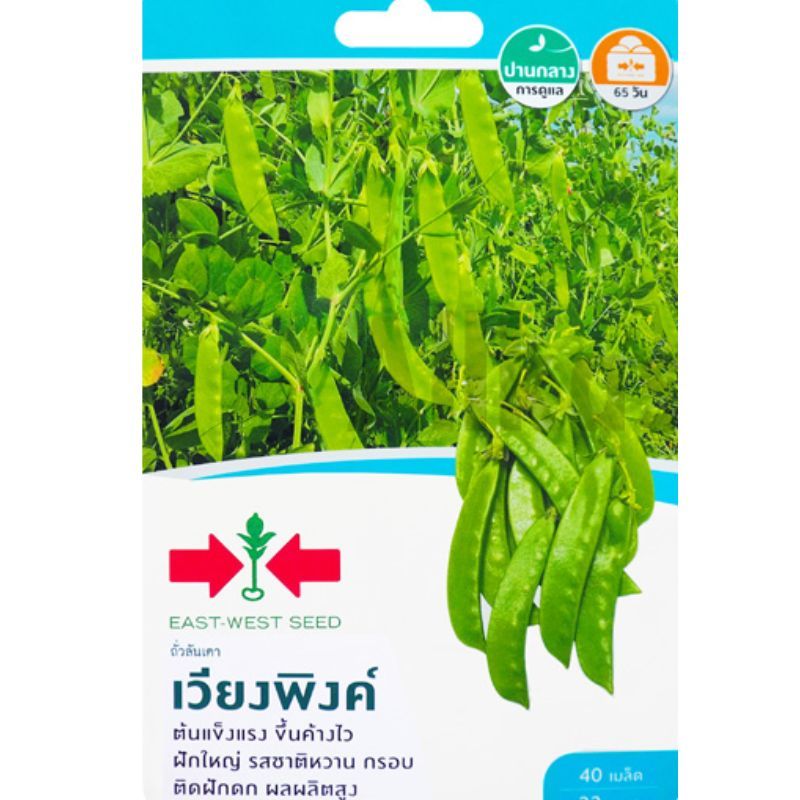 เมล็ดถั่วลันเตา เวียงพิงค์ ตราศรแดง