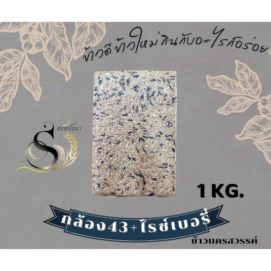 ข้าวกล้องกข.43ผสมไรซ์เบอรี่แพคสูญญากาศ1กิโลกรัม ตราทรัพย์ธนา