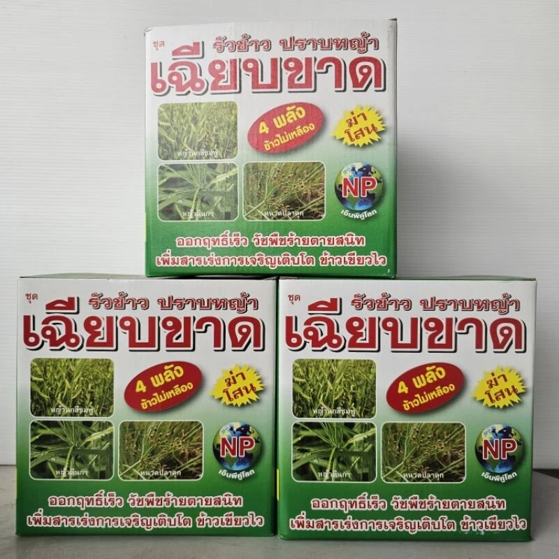 เฉียบขาด 4 พลัง รุ่นใหม่ล่าสุด (เพิ่มแมกนีเซียม) เสริมความแข็งแรงให้พืช เขียวไว ลำต้นตั้ง ฟื้นตัวไว รากแตกง่าย ทนต่อโรค