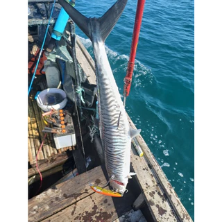 เหยื่อตกปลา เหยื่อTrolling AFS MAXX-125/150