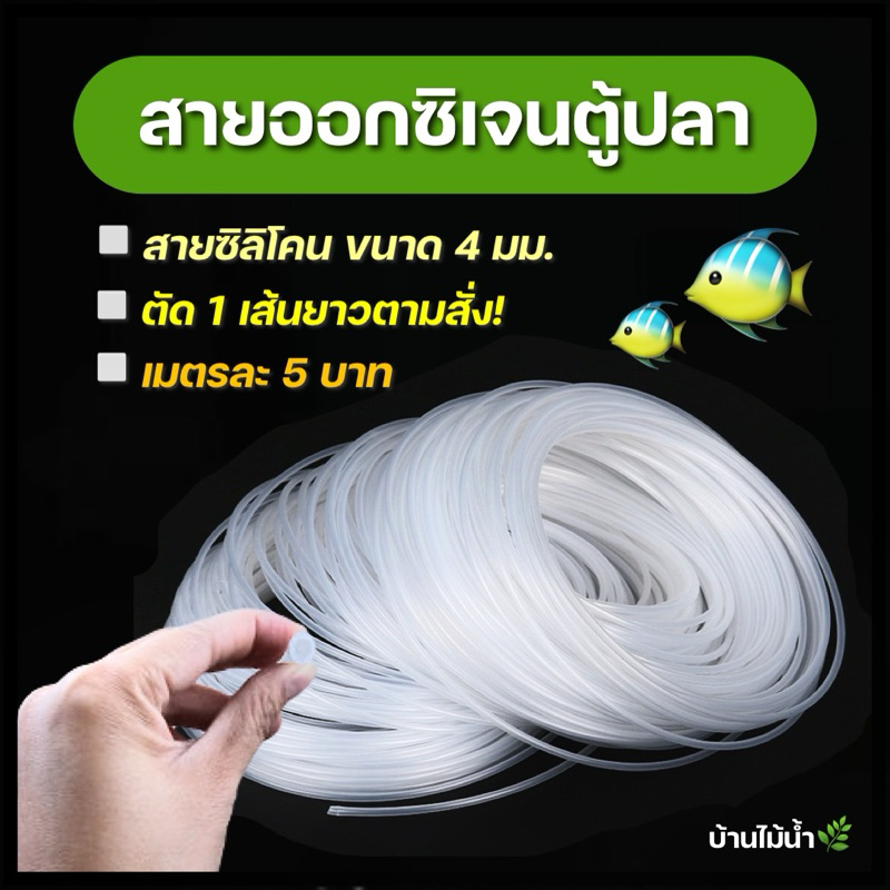 สายออกซิเจน 4มม สายซิลิโคน สายยาง สายยางซิลิโคน ปั๊มลม ปั๊มออกซิเจน ตู้ปลา ตู้ไม้น้ำ | บ้านไม้น้ำ🌿