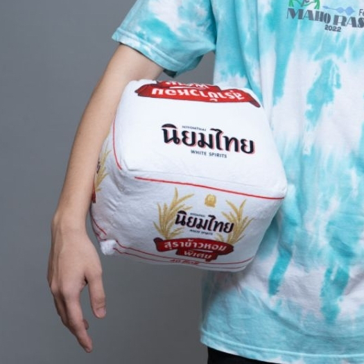 [นิยมไทย] หมอนรูปกล่องนิยมไทย