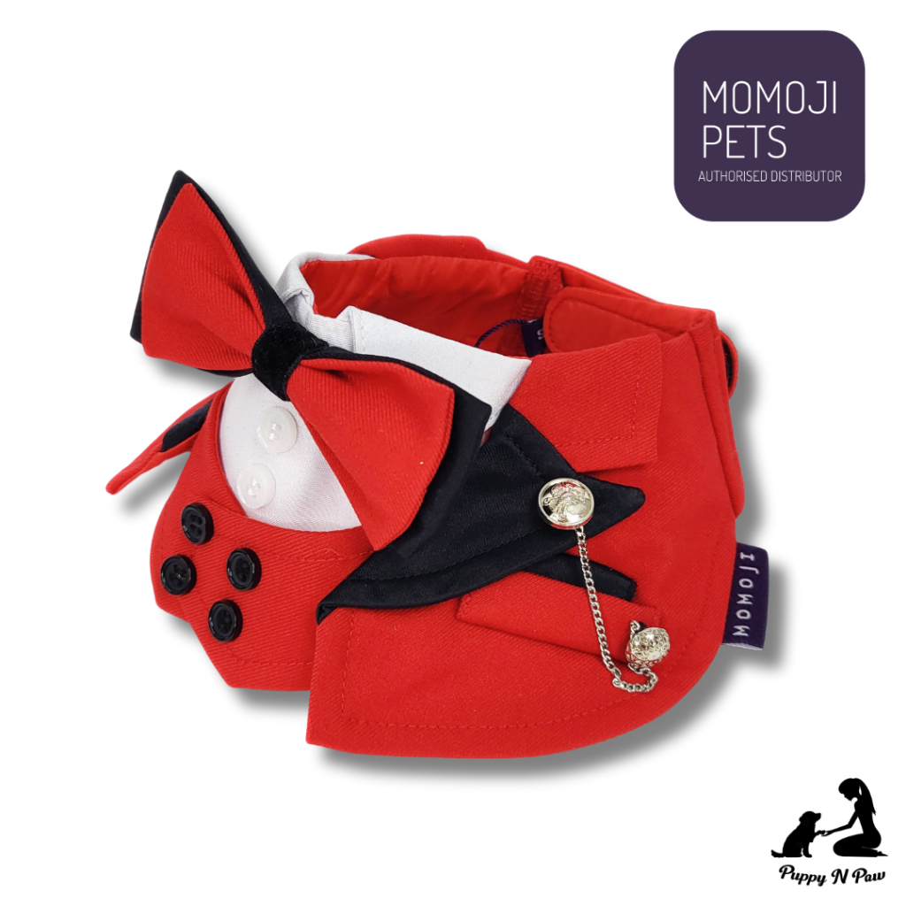 Momoji Kingsway Scarlet Red Pet Bib ชุดสุนัข ชุดแมว