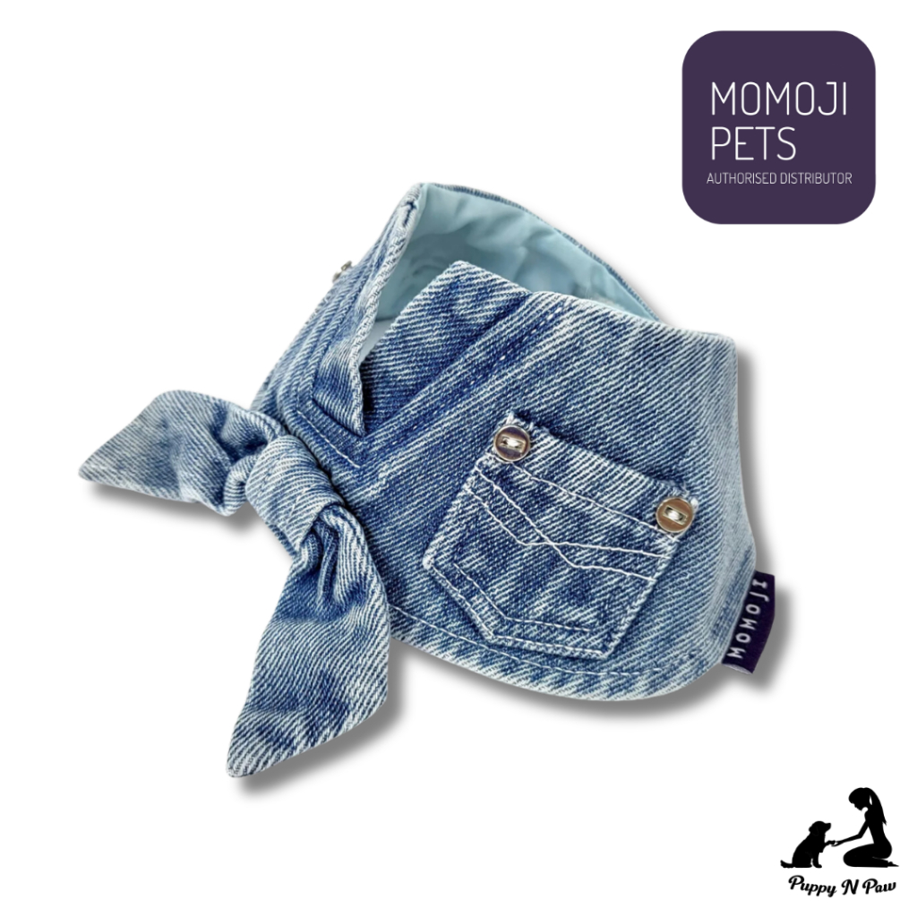 Momoji D'Aguilar Sky Denim Blue Pet Bib ชุดสุนัข ชุดแมว