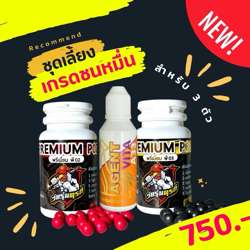อาหารนก - P02(บรรจุ100เม็ด) + P03(บรรจุ100เม็ด) + VITA A33 วัยรุ่นตุรกีแท้