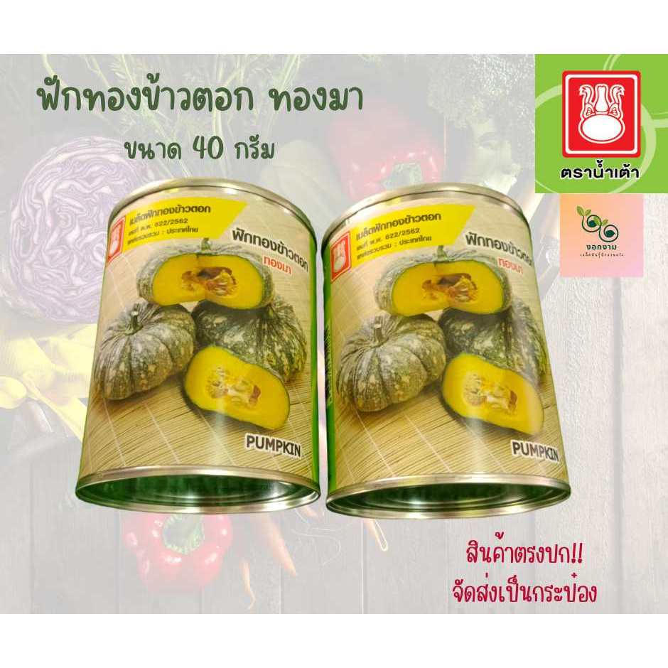 ฟักทองข้าวตอกทองมา ขนาด 40 กรัม