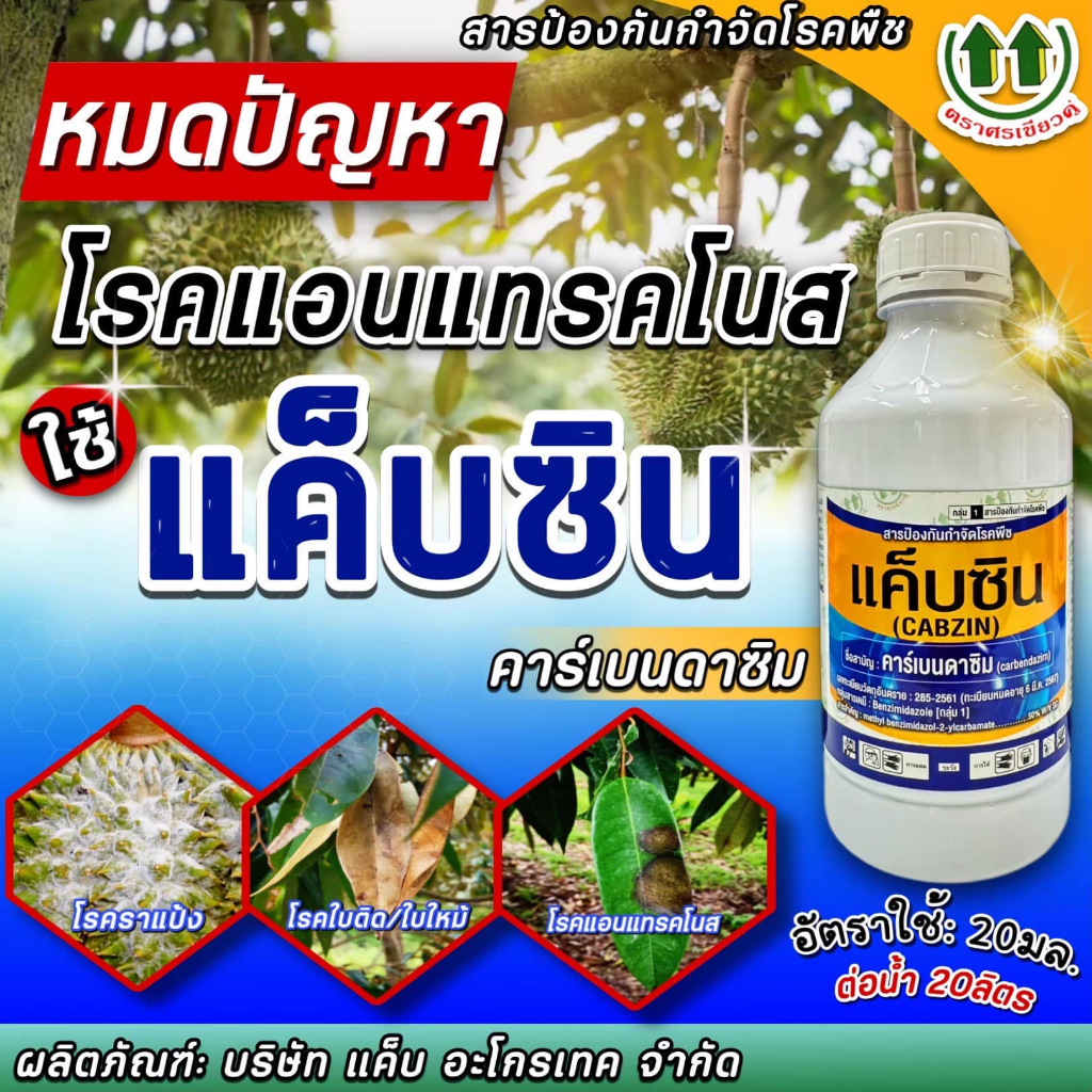 แค็บซิน สารคาร์เบนดาซิม (carbendazim) ใช้ป้องกันกำจัดโรคพืช โรคใบไหม้ โรคกาบใบแห้ง