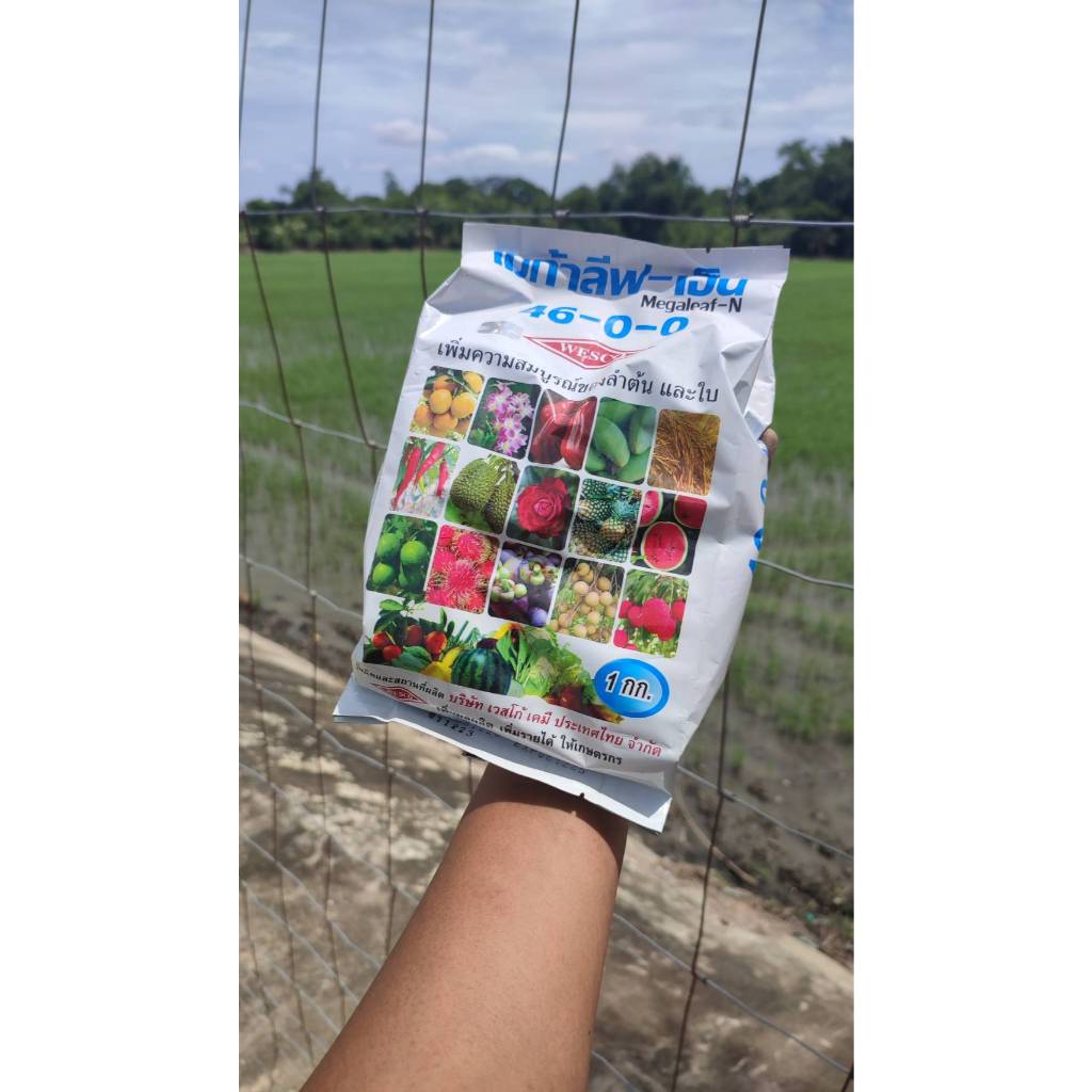 ปุ๋ยเกร็ดยูเรีย เวสโก้ บำรุงต้นใบ (46-0-0) บรรจุ 1 กิโลกรัม