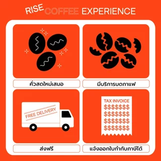 RISE COFFEE เมล็ดกาแฟคั่วกลางอ่อน Fruitopia ให้รสชาติโทน Fruity Floral จากเบลนด์ Ethiopia - Thai บาลานซ์ ทานง่าย