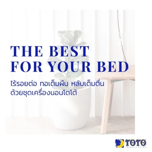ผ้าปูที่นอน TOTO ลายโดเรม่อน DM172 DM173 DM174 DM175 DMV177 DM180 DM181 DM182 DM183 thumbnail 5