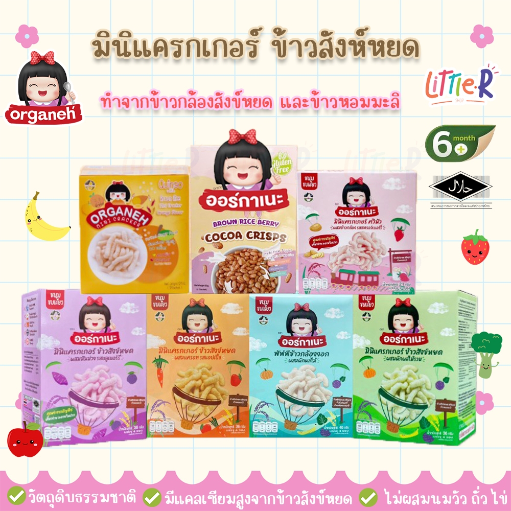 Organeh mini cracker มินิแครกเกอร์ ขนมเด็ก 6 เดือน+ ทำจากข้าวสังข์หยด มีฮาลาล