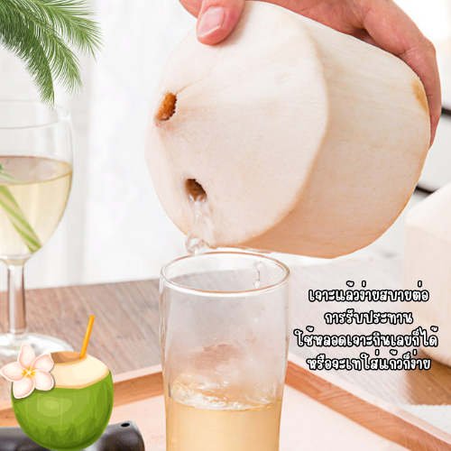 Fanke ที่เปิดมะพร้าวสแตนเลส มีดมะพร้าว ที่เปิดมะพร้าว อุปกรณ์เจาะมะพร้าว มีดผลไม้ มีขนาดเล็กพกพาได้ - รูปที่ 2