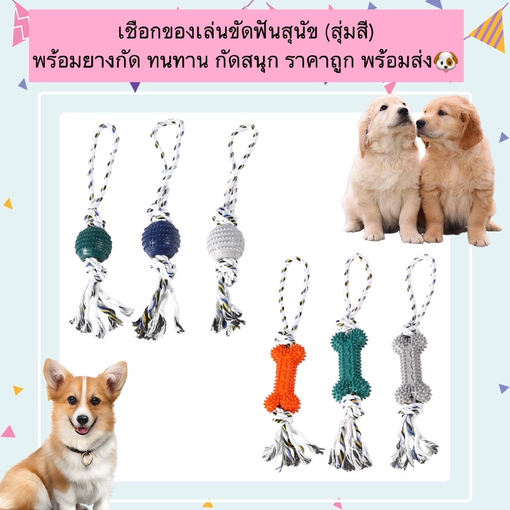 PP-1172 เชือกของเล่นขัดฟันสุนัข 🐾 (สุ่มสี) พร้อมยางกัด ทนทาน กัดเพลิน ช่วยดูแลสุขภาพฟัน ราคาน่ารัก พร้อมส่ง 🚚💨