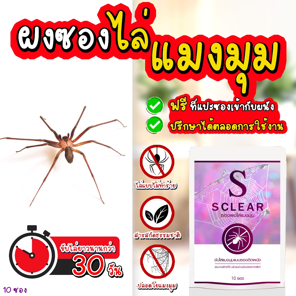 แมงมุม สเปรย์ไล่แมงมุม ที่ไล่แมงมุม ฟรี กาวติดผนัง (เก็บเงินปลายทาง ส่งไว) สูตรเข้มข้น