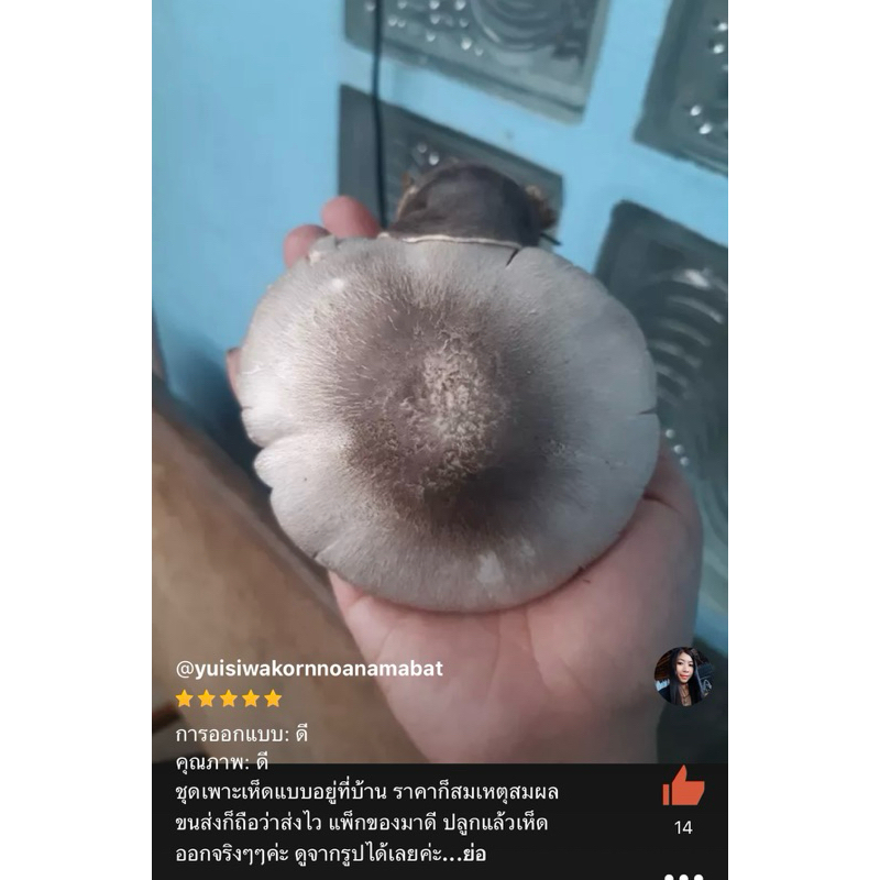 รูปภาพ 3