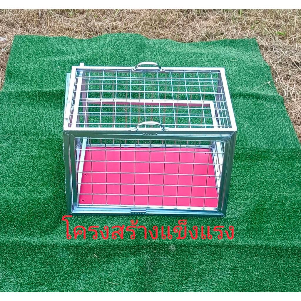 กรงฉีดยาแมว กรงพยาบาลแมว และสัตว์อื่นๆกรงนี้จะมีหูจับเพื่อความสะดวกในการยก และจะปูพื้นเหยียบให้ด้วยเพื่อกันขาแมวตกช่อง - รูปที่ 3
