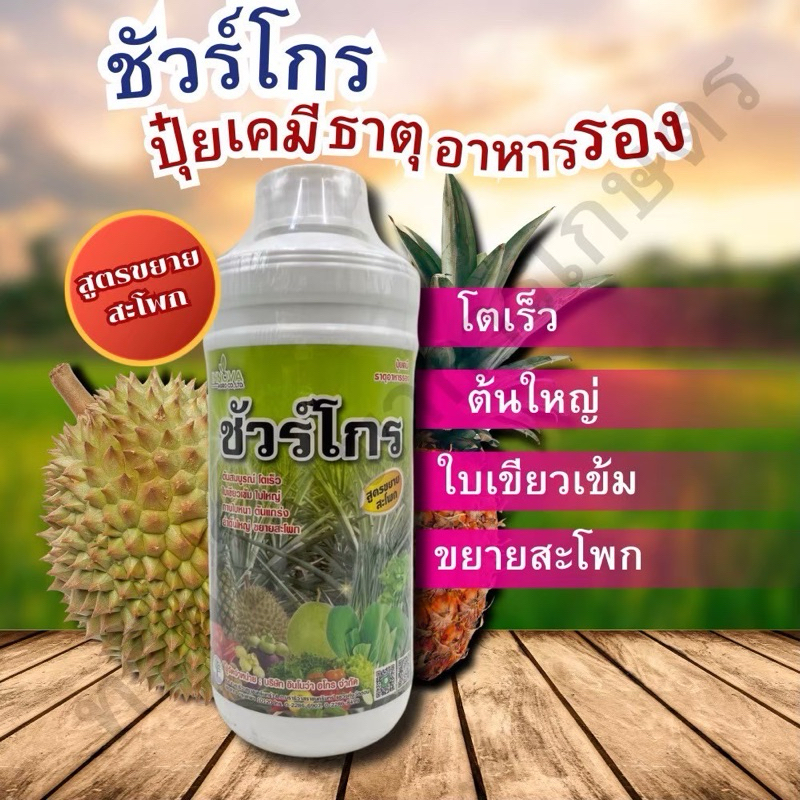 ชัวร์โกร 1 ลิตร  แมกนีเซียม  ช่วยให้ใบเขียวเข้ม กาบใบหนา เสริมสร้างการเจริญเติบโต บำรุงต้นให้แข็งแรง