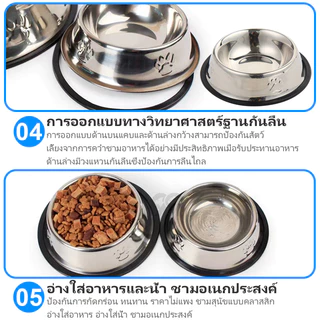 【CAT&DOG】ชามอาหารสแตนเลส ชามอาหารสัตว์เลี้ยง สุนัข หมา แมว ถ้วยอาหารหมา Dog Bowl 🔥 พร้อมส่ง 🔥