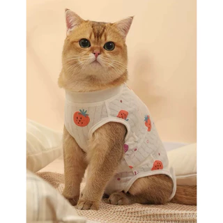 [🚚 พร้อมส่ง] ชุดกันเลียสัตว์เลี้ยง ป้องกันเลียแผลหลังผ่าตัด Strawberry Cat Sterilization Suit เสื้อทำหมัน