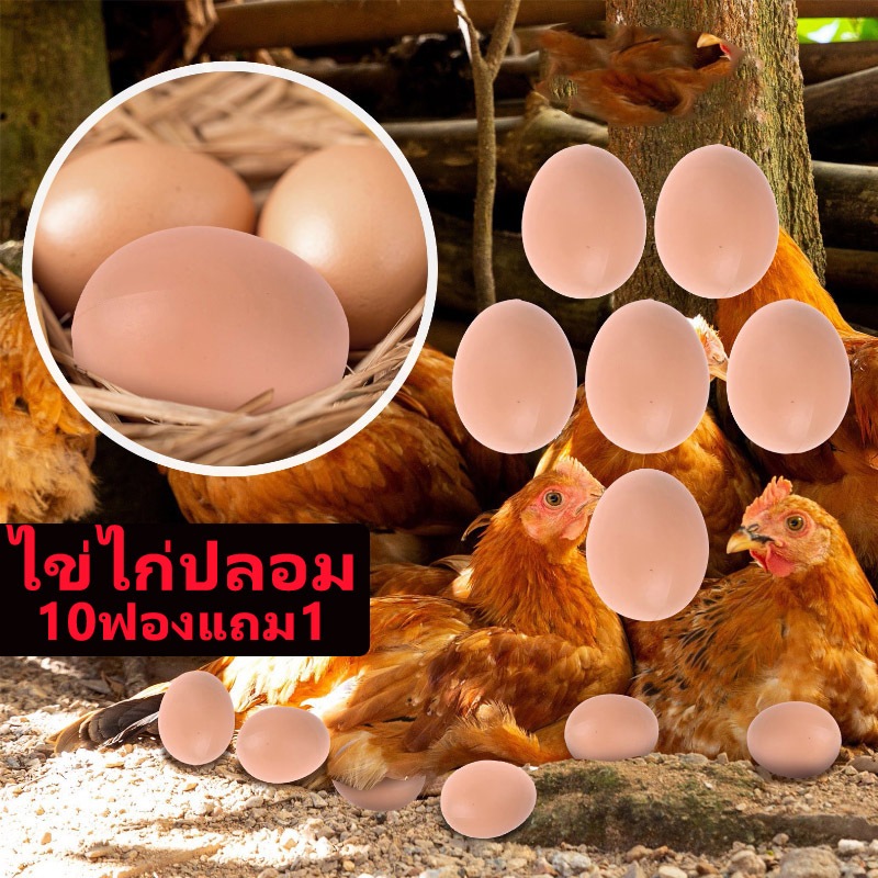 ไข่ไก่ปลอม ไข่ไก่พลาสติก โมเดลไข่ไก่ ขนาด 4×5 ซม. กระตุ้นไก่ออกไข่ในรัง Chicken Eggs Model