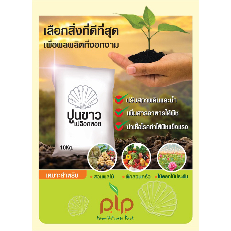 ปูนขาวเปลือกหอย ปูนขาวโดโลไมท์