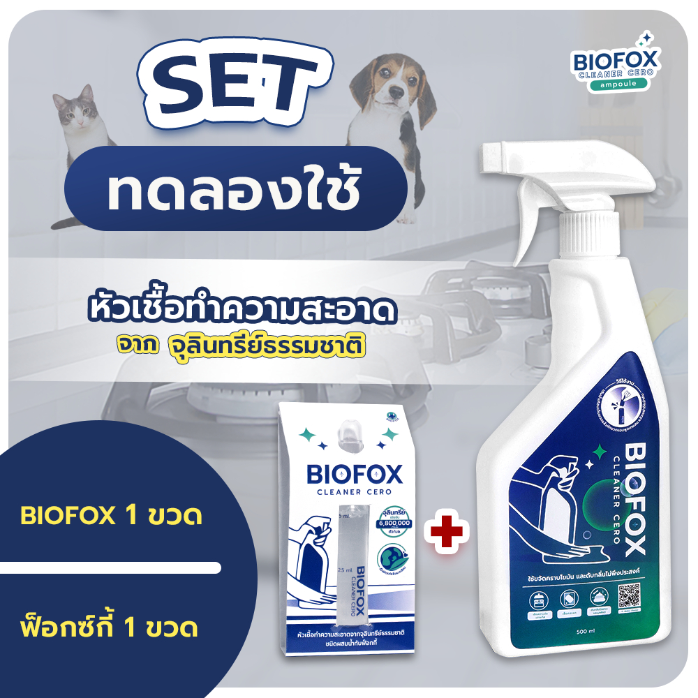 SET ทอลองใช้ 1 AM + Foggy Biofox Cleaner Cero Ampoule หัวเชื้อทำความสะอาดขจัดคราบมันและดับกลิ่น