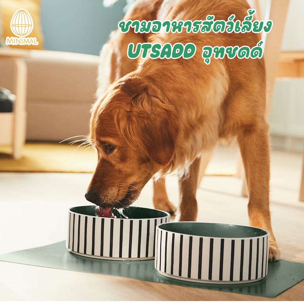 ชามอาหารสัตว์เลี้ยง UTSÅDD/อุทซดด์ อีเคียของแท้
