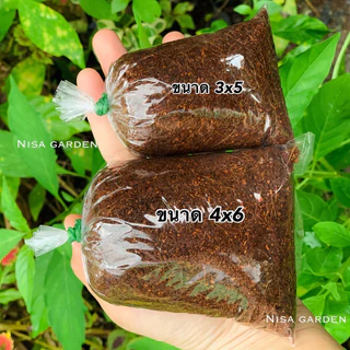 Nisa Garden ตุ้มตอนกิ่ง ถุง 5x8 ไซส์ใหญ่พิเศษ 10 ฟรี 1‼️ ขุยมะพร้าวผสมน้ำยาเร่งราก