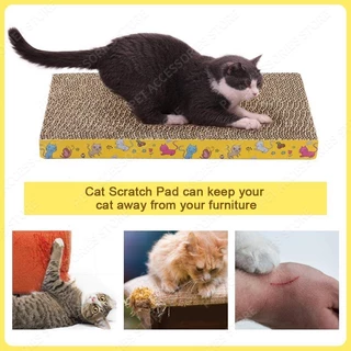 【CAT&DOG】แมวจับ, แมวกระดาษ, รังแมว ลูกแมวเกาบอร์ดกระดาษลูกฟูกความหนาแน่นสูง
