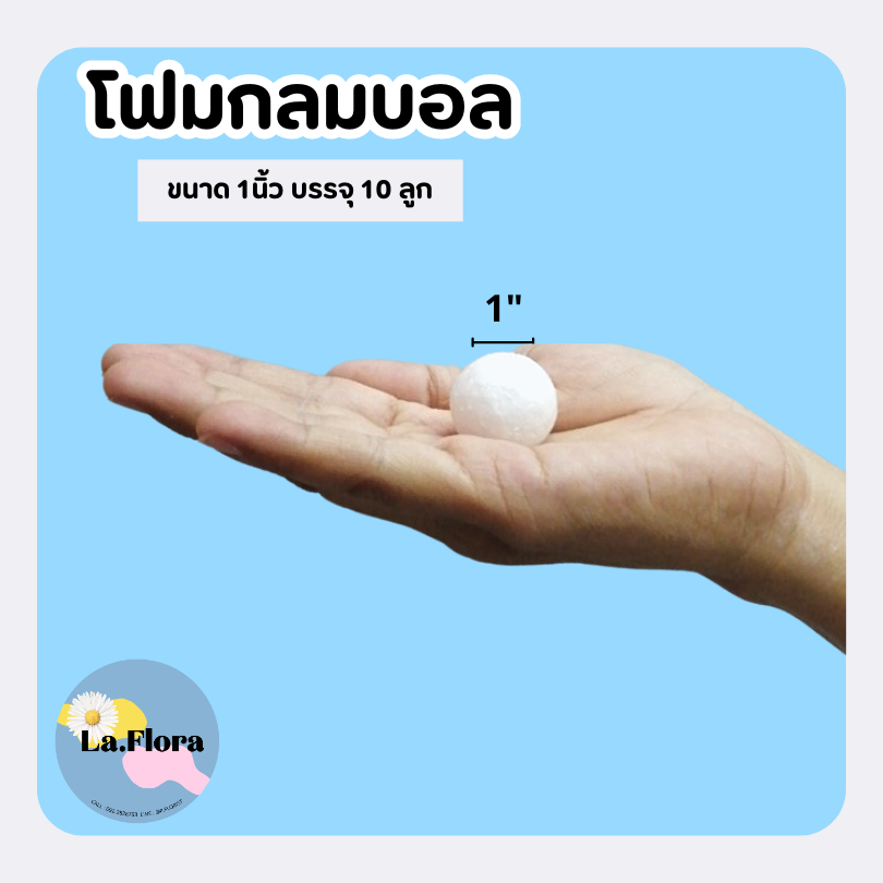 รูปภาพ 2