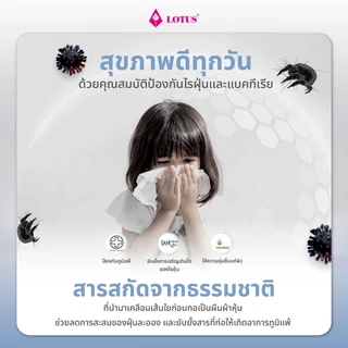 LOTUS หมอนข้างเพื่อสุขภาพ รุ่น Sleepy ป้องกันไรฝุ่น ใยสังเคราะห์