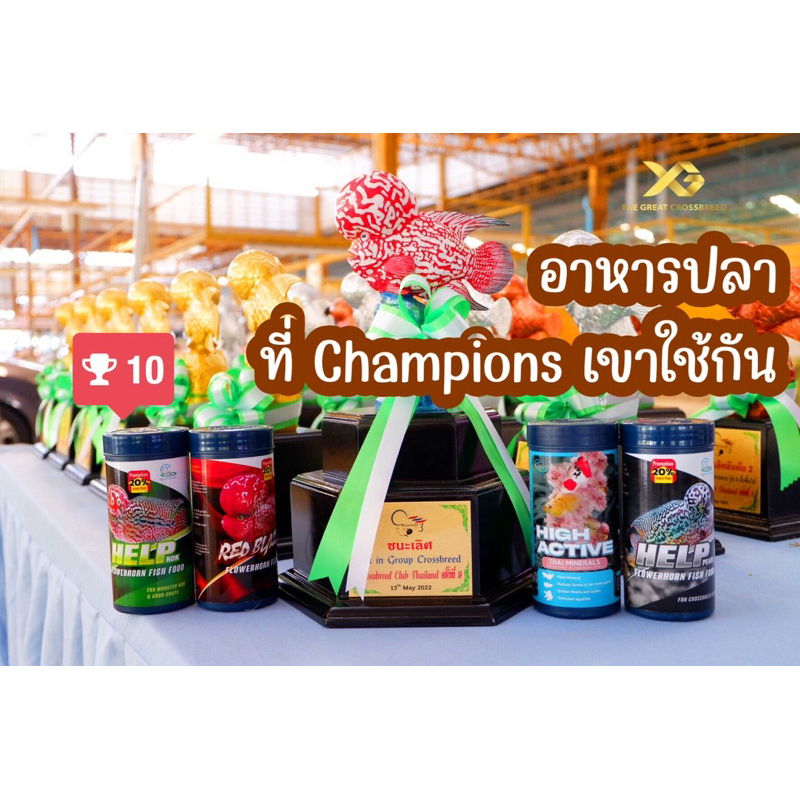 อาหารปลาหมอสี CZ เร่งโหนก Helpkok เร่งแดง Redblaze เร่งสีทูโทน CZ-2tone เร่งมุก Help Pearl สูตรใหม่ 