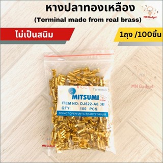 100ตัว-- หางปลาทองเหลือง แบนตัวเมีย หัวเสียบทองเหลือง / หางป…