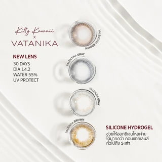VATANIKA LENS : Valenzia Gray คอนแทคเลนส์โดย แพร วทานิกา