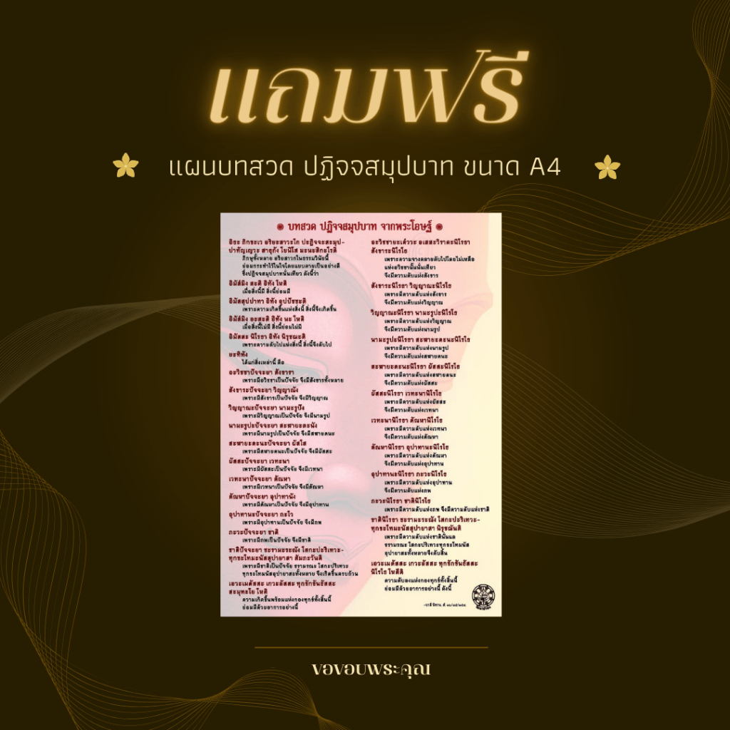 รูปภาพ 2