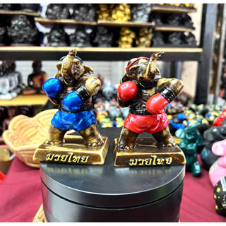 มวยไทย มวยช้าง ช้างชกมวย Thai boxing elephant