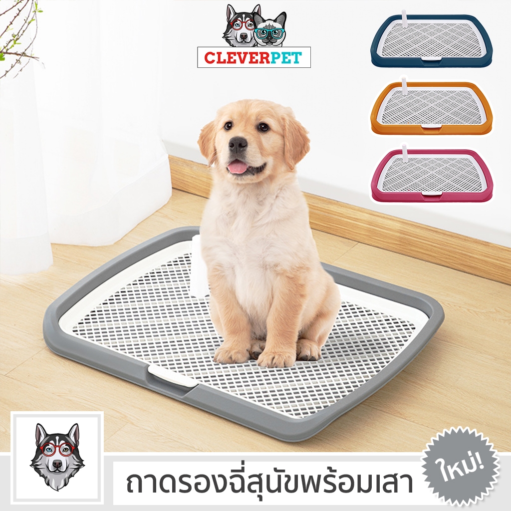 [ส่งฟรี ] CleverPet ห้องน้ำสุนัข ถาดรองฉี่สุนัข พร้อมเสา Dog Pee Tray