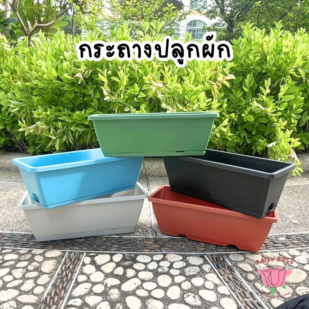 กระถางปลูกผักปลูกต้นไม้ ทรงยาวมีถาดรอง สี่เหลี่ยม ดอกไม้  กระบะปลูกผัก พร้อมส่ง