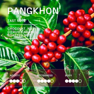 aicoffeeroaster | เมล็ดกาแฟปางขอน Arabica 100% ขนาด 500g