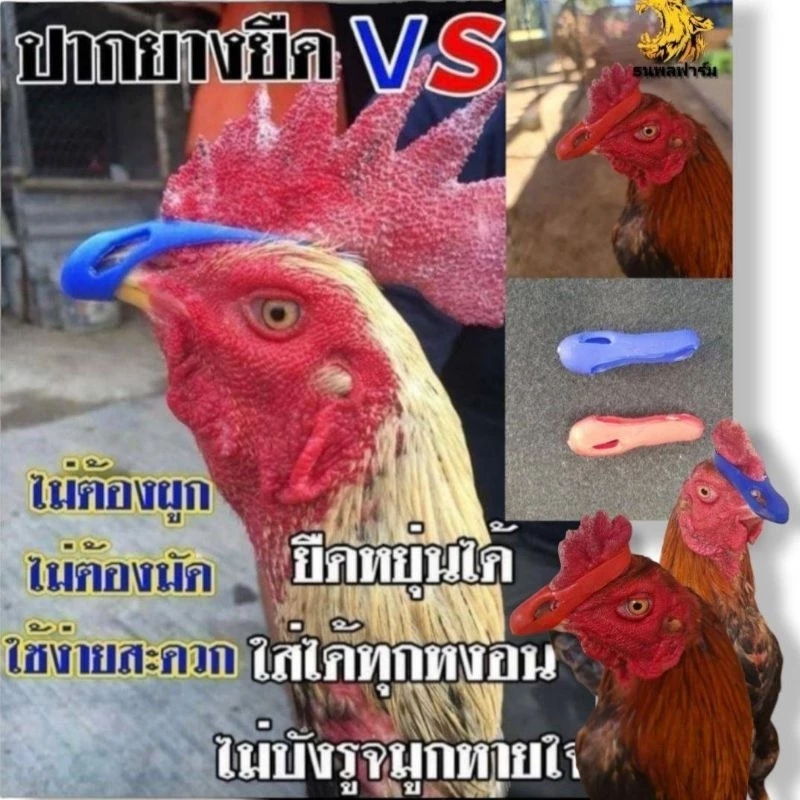 นวมปากไก่ชนแบบยางยืดหนานุ่ม นวมพันปากไฮเทค นวมสวมปากสำหรับไก่ชน