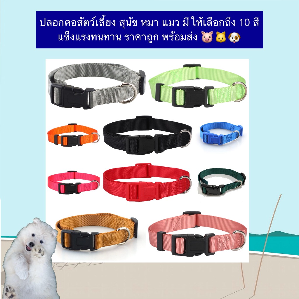 AL-1179 ปลอกคอสัตว์เลี้ยง สุนัข หมา แมว มีให้เลือกถึง 10 สี แข็งแรงทนทาน ราคาถูก พร้อมส่ง 🐷🐱🐶