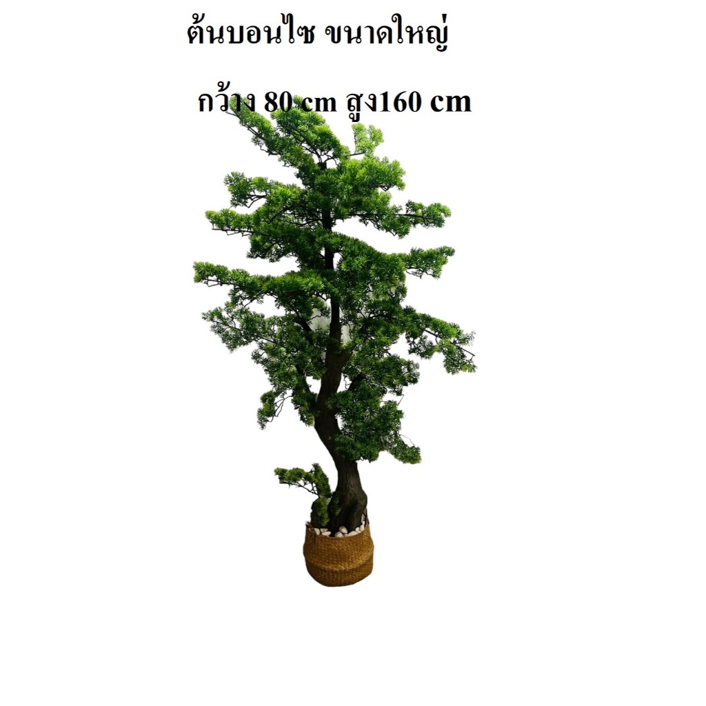 ต้นบอนไซ ของขวัญขึ้นบ้านใหม่ ต้นบอนไซปลอม บอนไซใหญ่   สูง 1.6 เมตร แต่งบ้าน